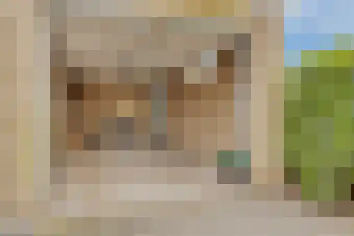Berkenlaan 44 Zutphen thumbnail 22