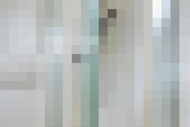 Berkenlaan 44 Zutphen thumbnail 27
