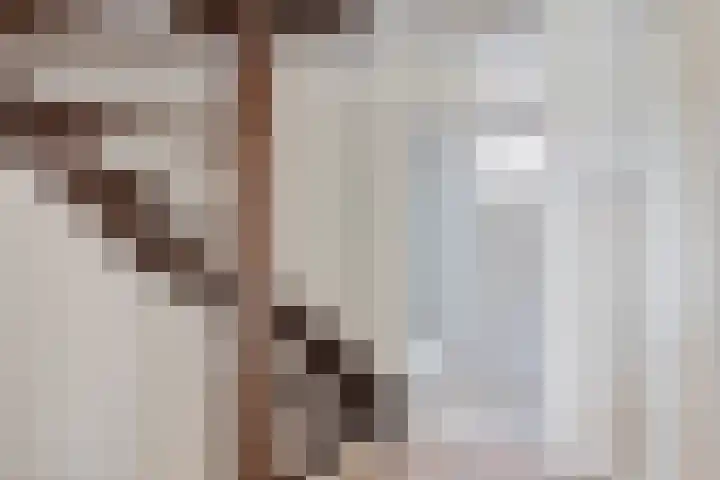 Berkenlaan 44 Zutphen thumbnail 29