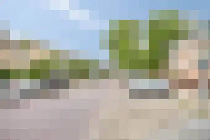 Berkenlaan 44 Zutphen thumbnail 35