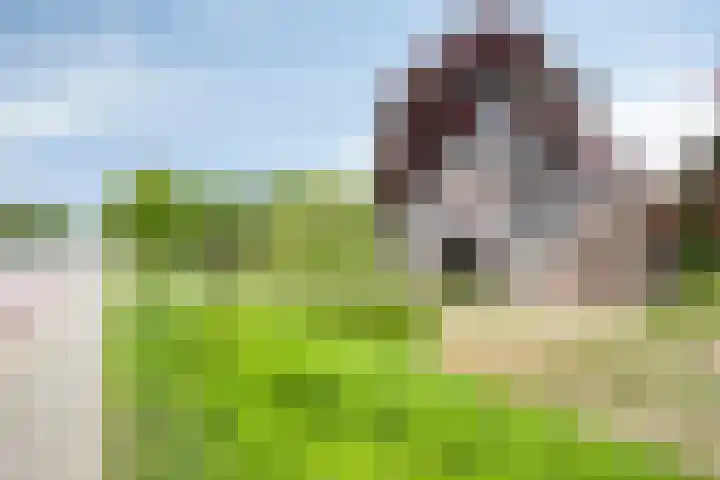 Berkenlaan 44 Zutphen thumbnail 38