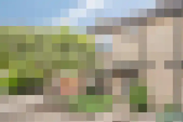 Berkenlaan 44 Zutphen thumbnail 43