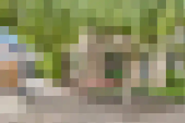 Berkenlaan 44 Zutphen thumbnail 5