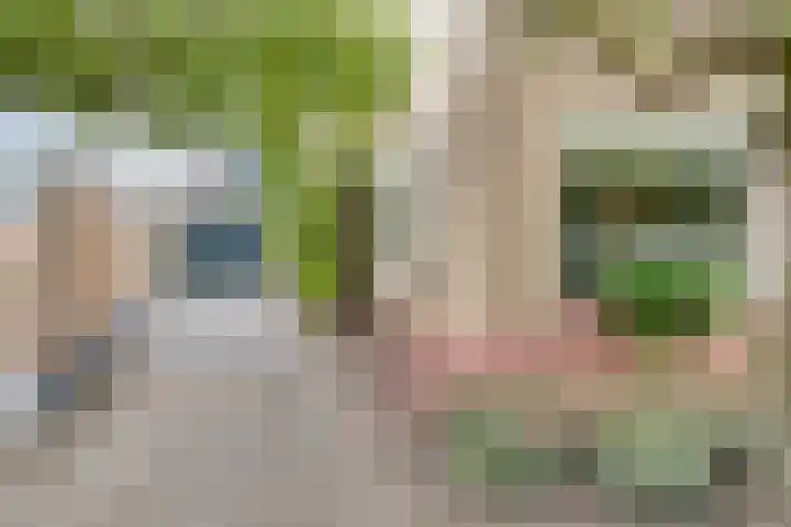 Berkenlaan 44 Zutphen thumbnail 6