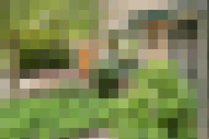 Berkenlaan 44 Zutphen thumbnail 7