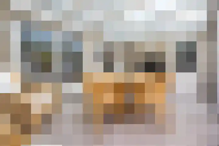 Berkenlaan 5 Halsteren thumbnail 14