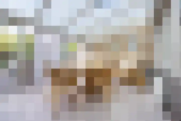 Berkenlaan 5 Halsteren thumbnail 15