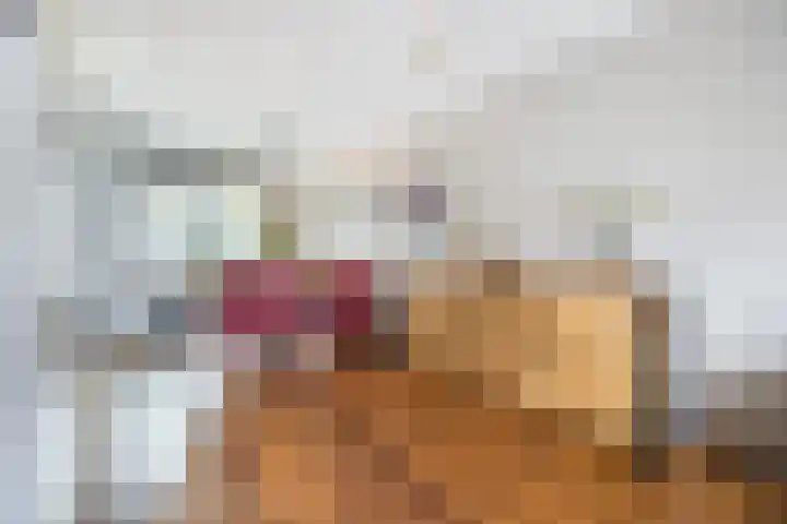 Berkenlaan 5 Halsteren foto 3