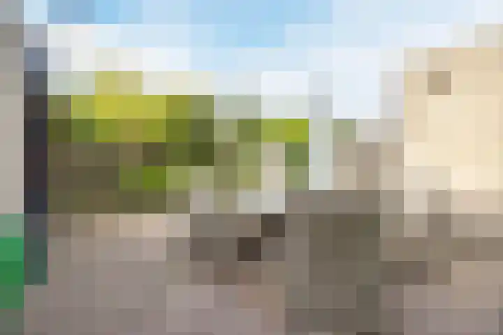 Berkenlaan 5 Halsteren thumbnail 32