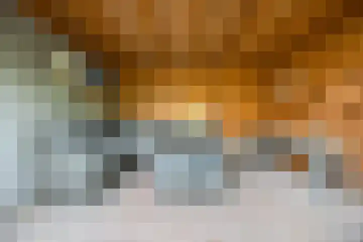 Berkenlaan 5 Halsteren thumbnail 33