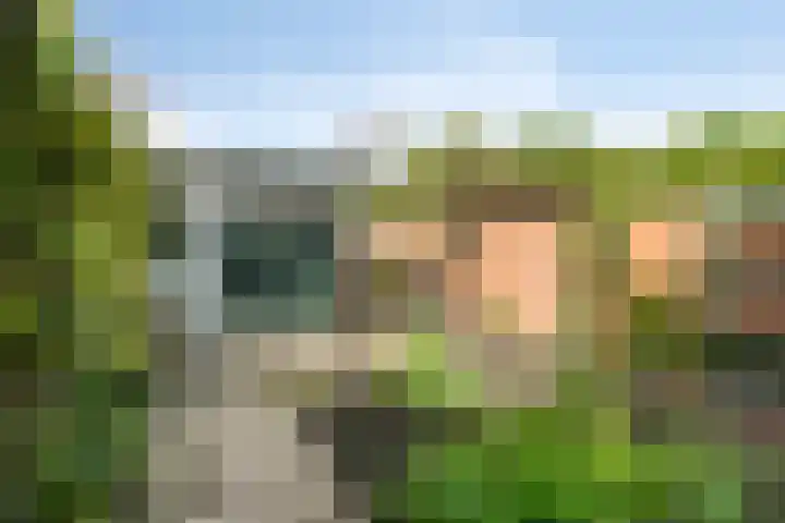 Berkenlaan 54 Harmelen thumbnail 28