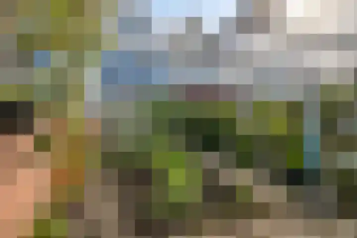 Berkenlaan 54 Harmelen thumbnail 29
