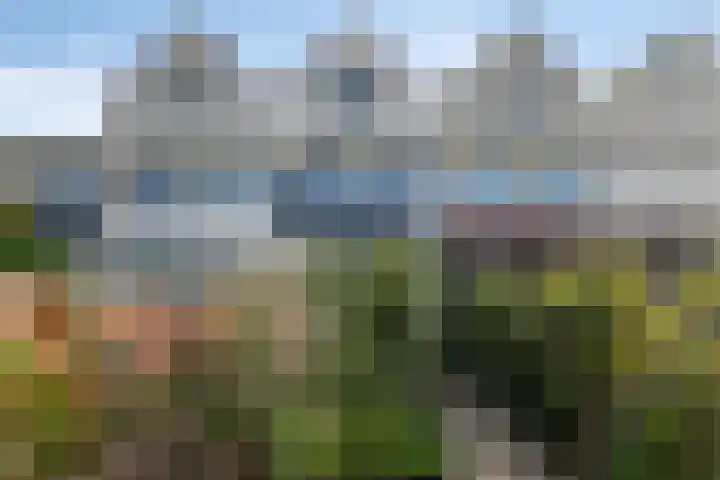 Berkenlaan 54 Harmelen thumbnail 30