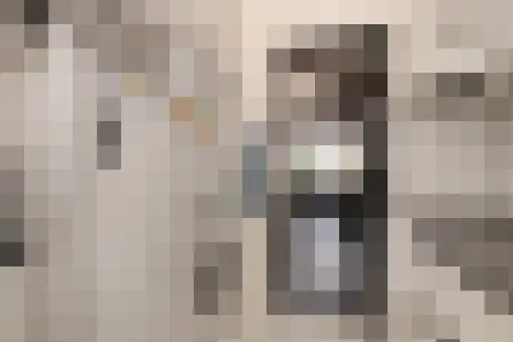 Berkenlaan 54 Harmelen thumbnail 4