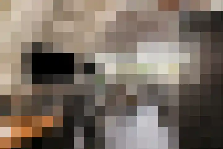 Berkenlaan 54 Harmelen thumbnail 7