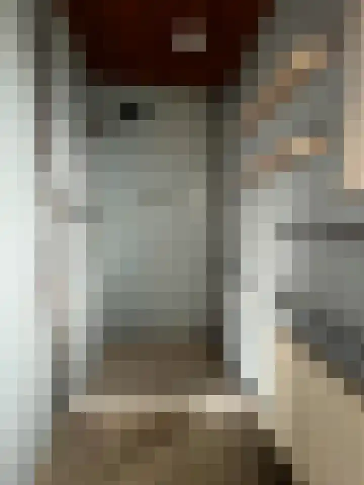 Berkenlaan 7 Kalenberg thumbnail 34