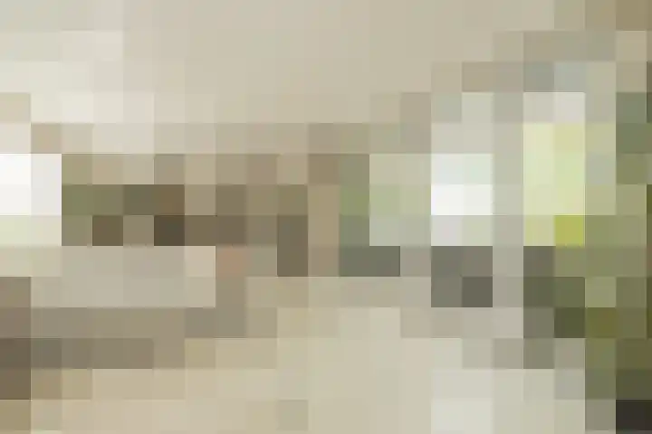 Berkenlaan 7 Katwijk thumbnail 10