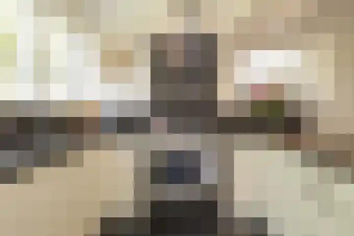Berkenlaan 7 Katwijk thumbnail 16