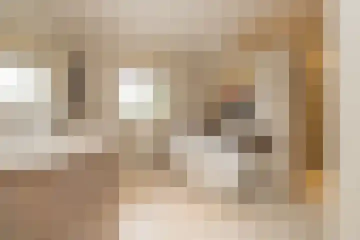 Berkenlaan 7 Katwijk thumbnail 23