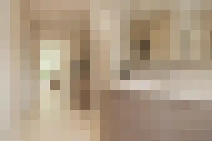 Berkenlaan 7 Katwijk thumbnail 24