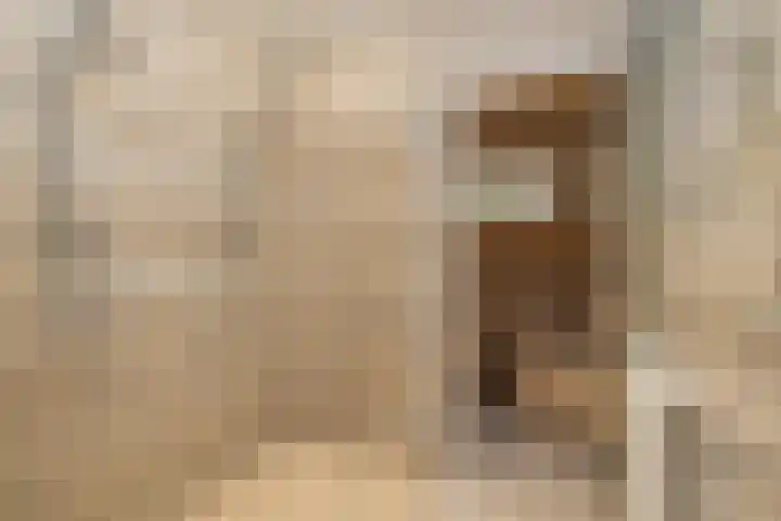 Berkenlaan 7 Katwijk thumbnail 27