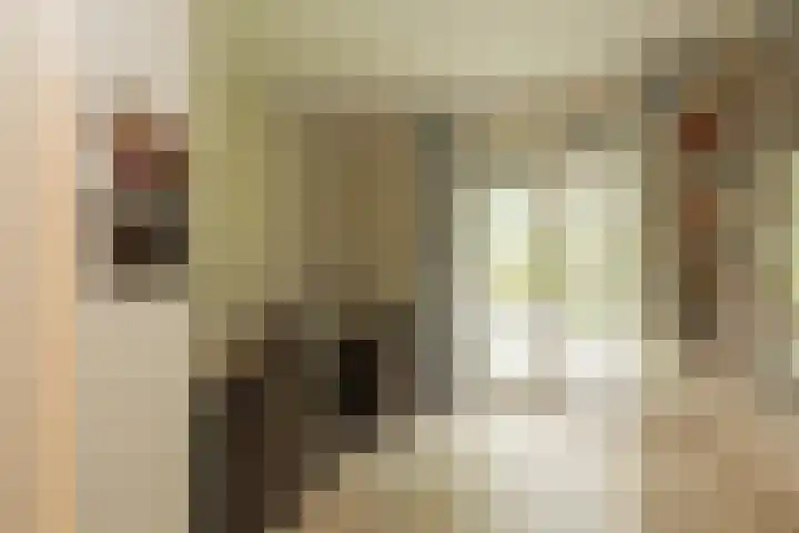 Berkenlaan 7 Katwijk thumbnail 35