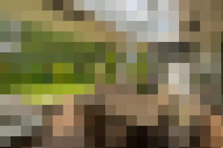 Berkenlaan 7 Katwijk thumbnail 36