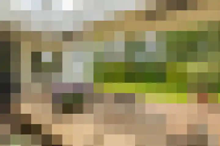 Berkenlaan 7 Katwijk thumbnail 37