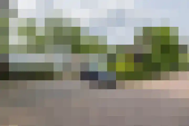 Berkenlaan 7 Katwijk thumbnail 4