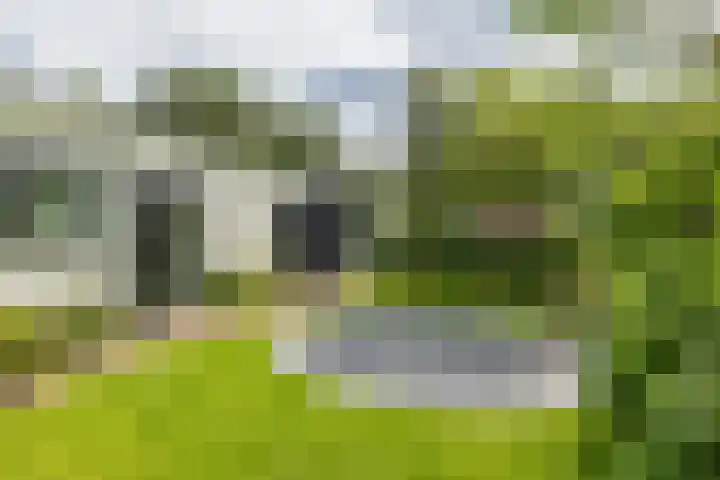 Berkenlaan 7 Katwijk thumbnail 42