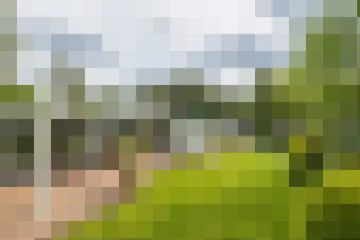 Berkenlaan 7 Katwijk thumbnail 48