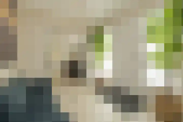 Berkenlaan 7 Katwijk thumbnail 7