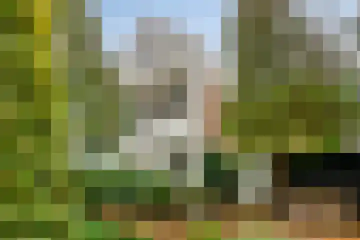 Berkenlaan 82 Harmelen