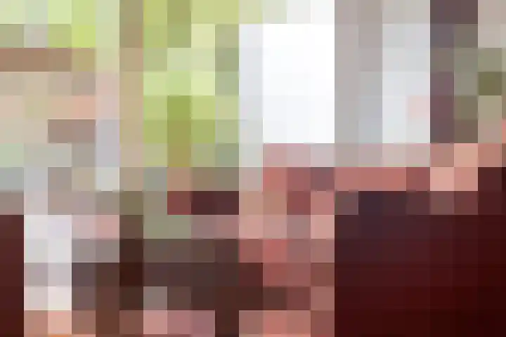 Berkenlaan 85 Doorwerth thumbnail 15