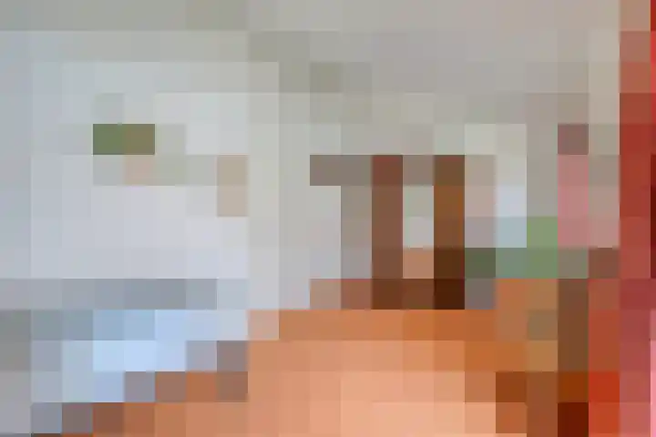 Berkenlaan 85 Doorwerth thumbnail 28