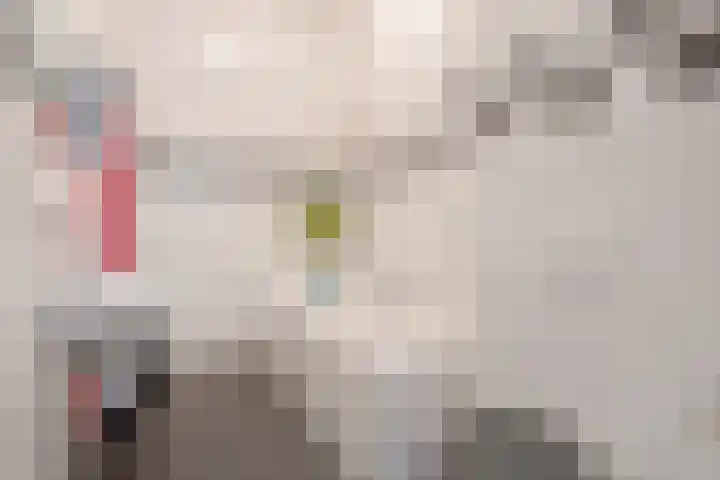 Berkenlaan 85 Doorwerth thumbnail 29