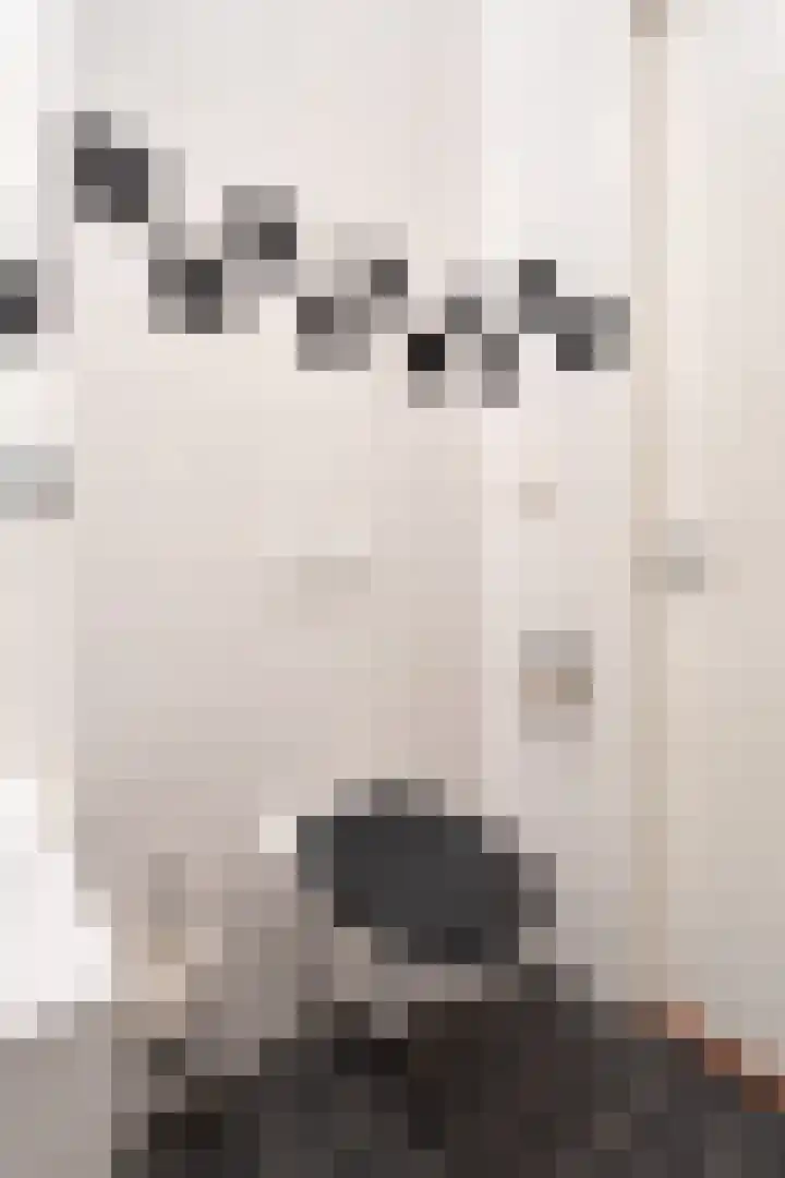 Berkenlaan 85 Doorwerth thumbnail 31