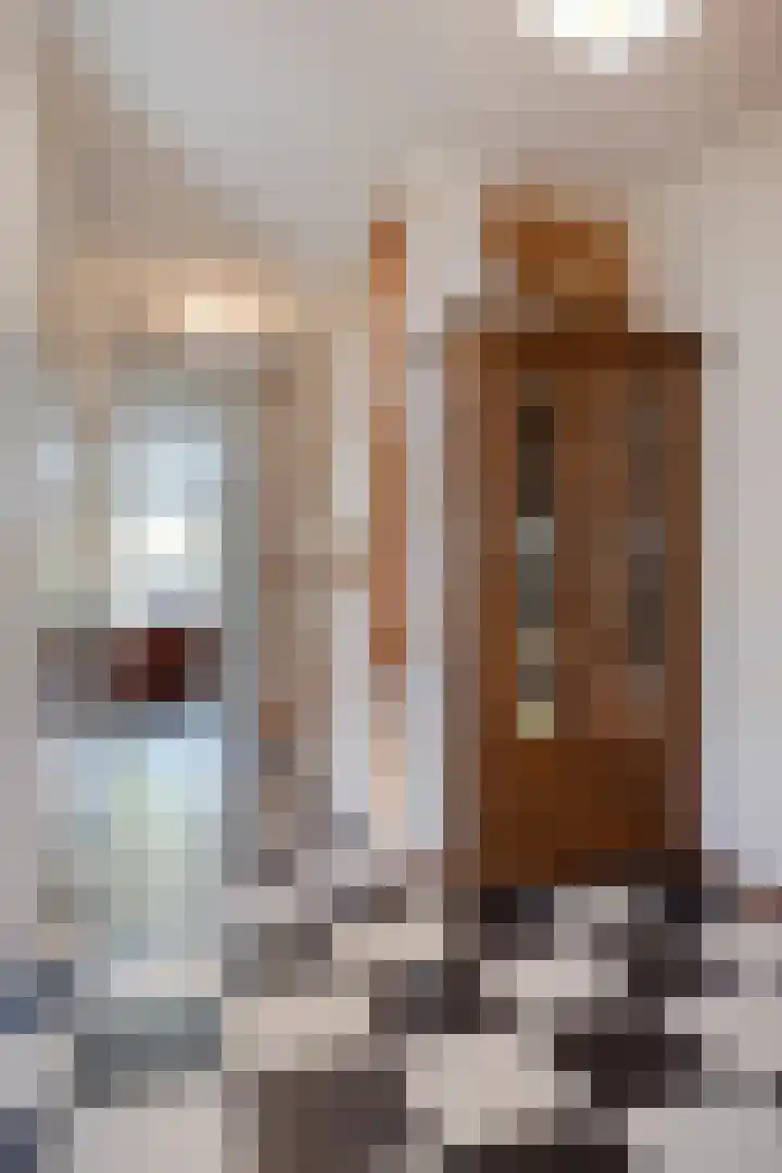 Berkenlaan 85 Doorwerth thumbnail 37