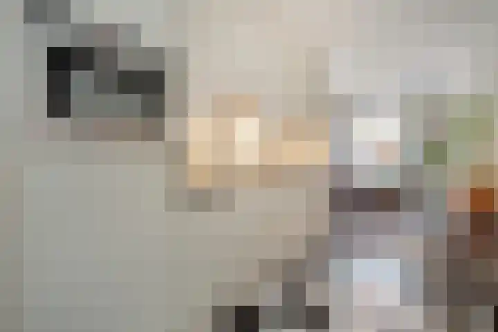 Berkenlaan 85 Doorwerth thumbnail 4
