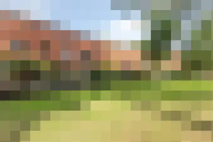 Berkenlaan 85 Doorwerth thumbnail 47