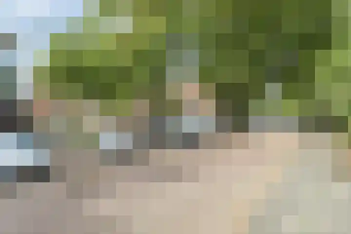 Berkenlaan 85 Doorwerth thumbnail 50