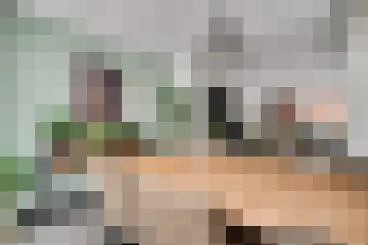 Berkenlaan 9 Neer thumbnail 16