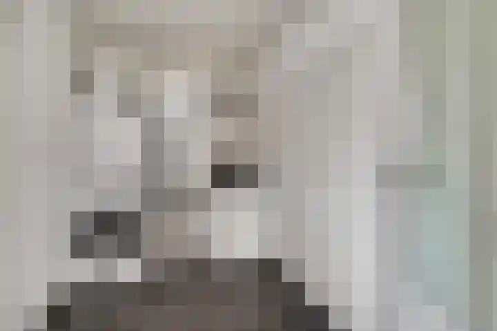Berkenlaan 9 Neer thumbnail 20