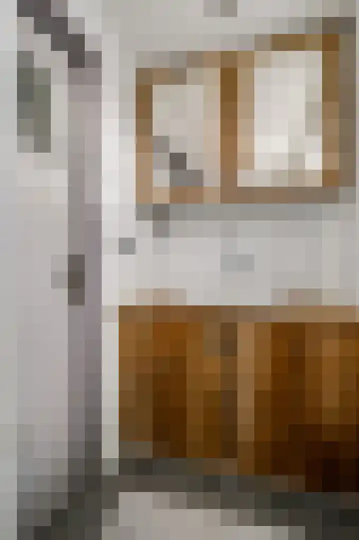 Berkenlaan 9 Neer thumbnail 28
