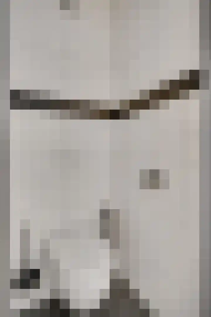 Berkenlaan 9 Neer thumbnail 29
