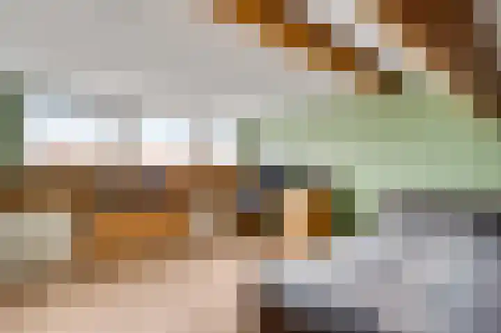 Berkenlaan 9 Neer thumbnail 31