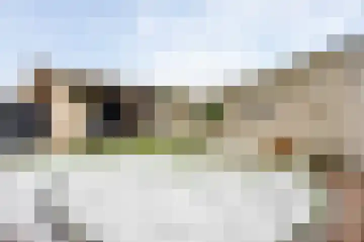 Berkenlaan 9 Neer thumbnail 34