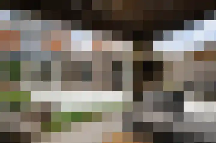 Berkenlaan 9 Neer thumbnail 37