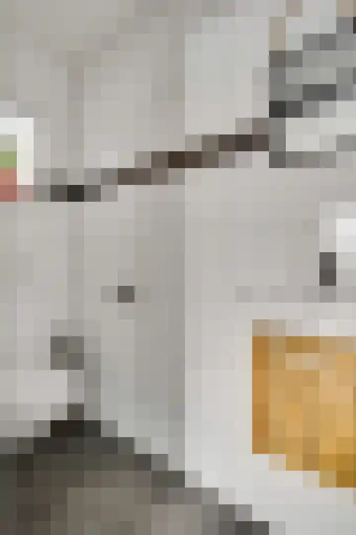 Berkenlaan 9 Neer thumbnail 8