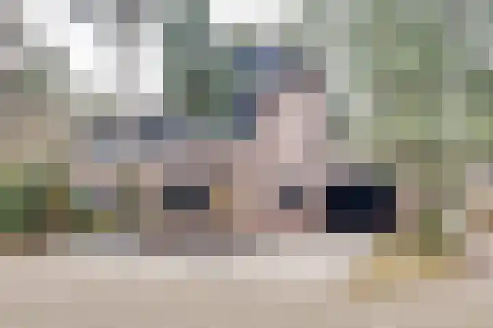 Berkenoord 139 in Vaassen